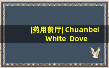|药用餐厅| Chuanbei  White  Dove  Soup滋润肺部并防止秋天干燥
